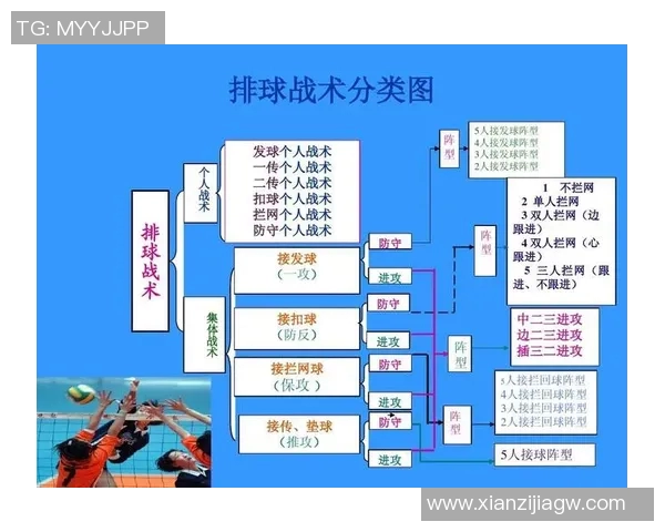 杭州排球队整体压制战术解析与排球热点探讨