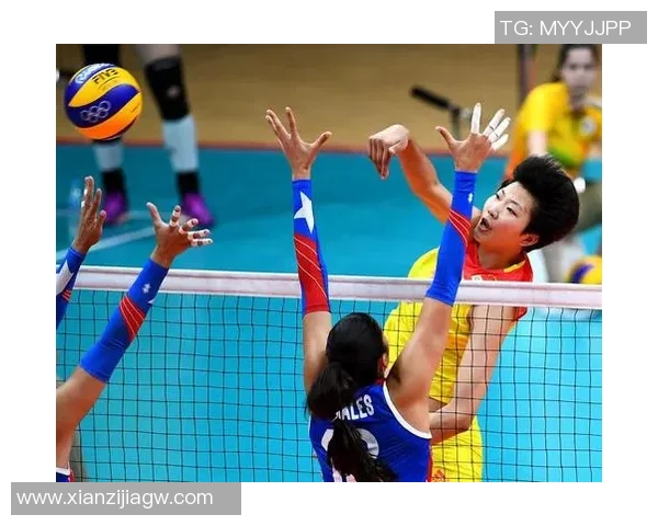 武汉排球队战术分析与表现评估全面解读